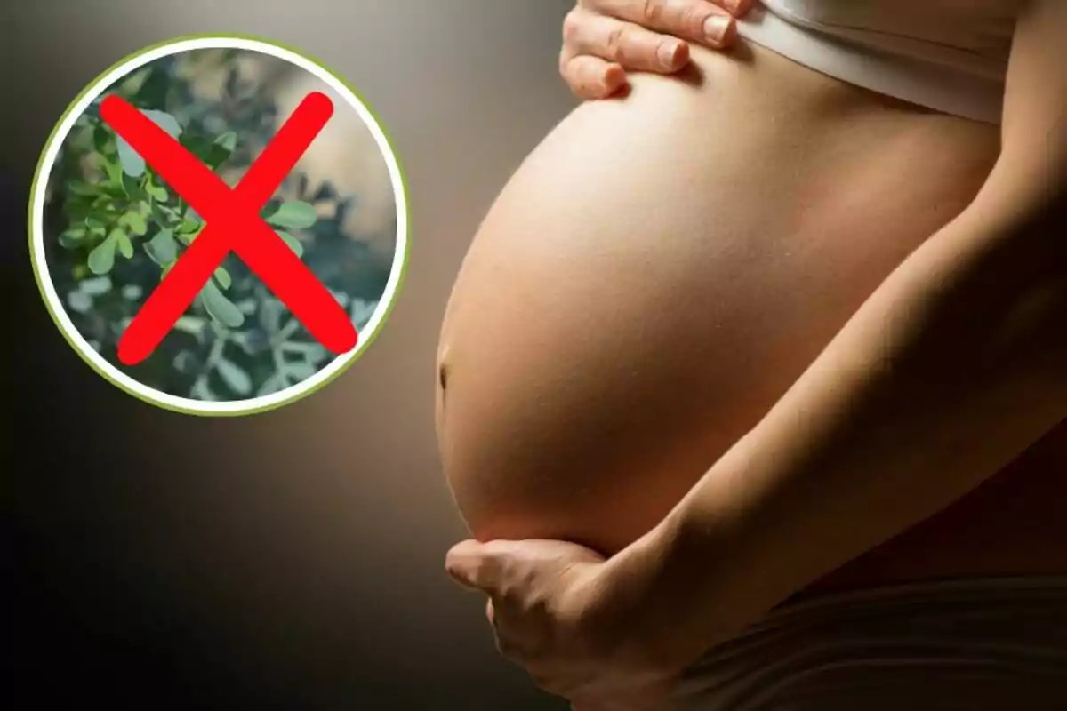 Mujer embarazada con una señal de prohibición sobre una planta.